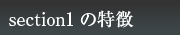 セクション1の特徴